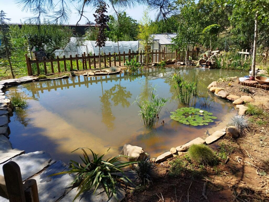 Presentación de Vierden